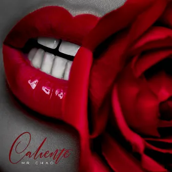 Caliente by MR CHAO