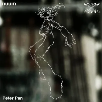 Peter Pan by nuum