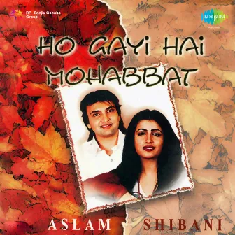 Ho Gayi Hai Mohabbat by Shibani