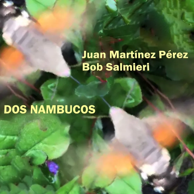 Dos Nambucos