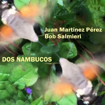 Dos Nambucos by Bob Salmieri