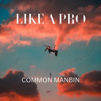 Like a Pro by COMMON MANBIN