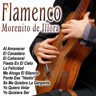 Flamenco by Morenito De Illora