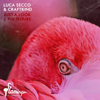 Just A Look / The Future by Luca Secco