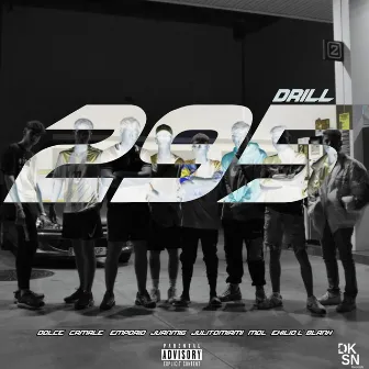 295 Drill by Dolce