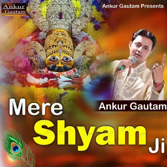 Mere Shyam Ji by Ankur Gautam