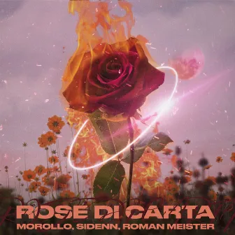 Rose di carta by Morollo