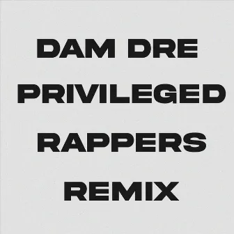 Privileged Rappers Remix by DAM DRE