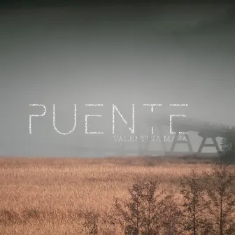 Puente by Valentina Maza