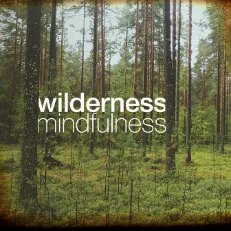 Wilderness Mindfulness by Unknown Artist