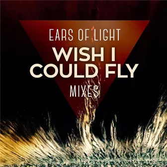 Wish I Could Fly by Ears Of Light