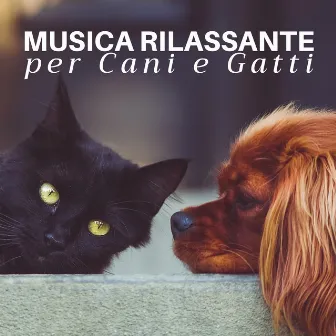 Musica Rilassante per Cani e Gatti - Musica Rilassante per Calmare l'Ansia di Separazione by Meditazione Zen