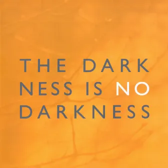 The Darkness Is No Darkness by Bengt Ollen