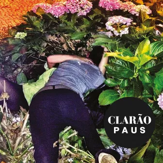 Clarão by Paus