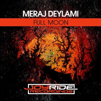 Full Moon by Meraj Deylami