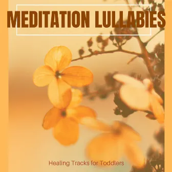 Meditation Lullabies - Healing Tracks For Toddlers by Pure White Aura Record