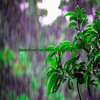 Lluvia Suave Para Calmar la Ansiedad del Día by Lluvia Torrencial