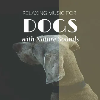 Relaxing Music for Dogs with Nature Sounds - Songs to Keep Dogs Calm, Happy and Comfortable by Dog Bedtime