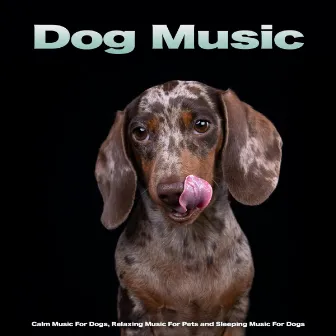 Dog Music: Calm Music For Dogs, Relaxing Music For Pets and Sleeping Music For Dogs by Dog Music Experience