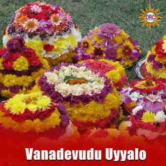 Vanadevudu Uyyalo by Unknown Artist