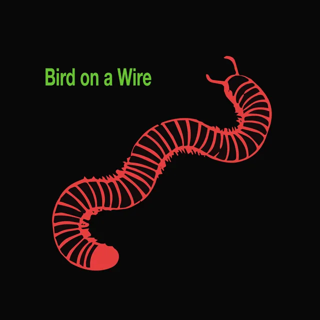 Bird on a Wire