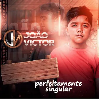 Perfeitamente Singular by Joao Victor