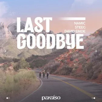 Last Goodbye by Namic