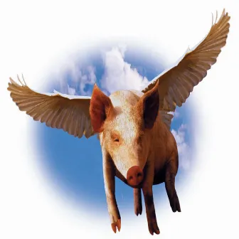 Pigs Can Fly by Norian