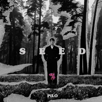 SEED by PiLO