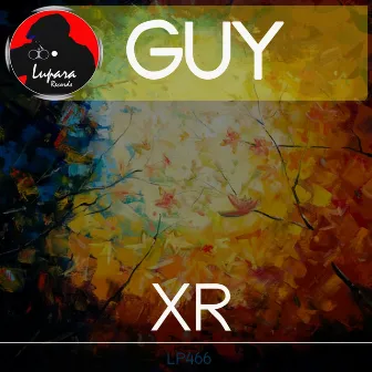 Guy by XR