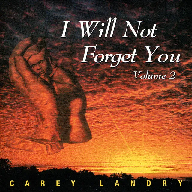 I Will Not Forget You, Vol.2