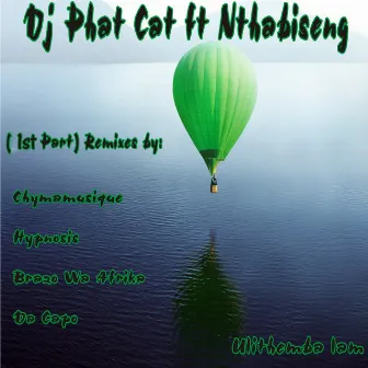 Ulithemba Lam, Pt. 1 (Remixes) by Dj Phat Cat