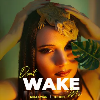 Dont Wake Me (Radio Edit) by Nika Swan