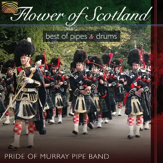 Pride of Murray Pipe Band: Flower of Scotland - Best of Pipes and Drums by Pride Of Murray Pipe Band