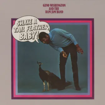 Shake A Tail Feather by Geno Washington and the Ram Jam Band