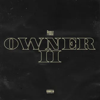 Owner II by Phxllz