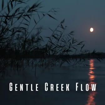 Gentle Creek Flow by Foresty Ambient Noises