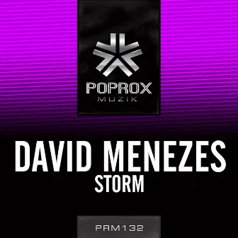 Storm by David Menezes