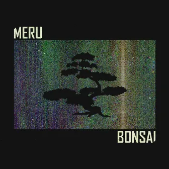 Bonsai by Meru