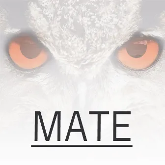 Mate by NoJustice