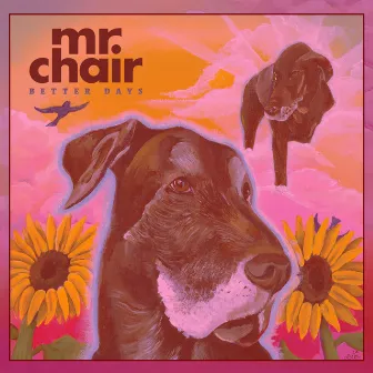 Fuchsia by Mr. Chair