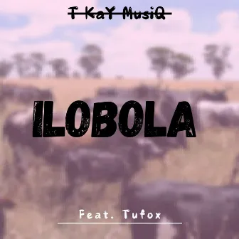 Ilobola by T Kay MusiQ