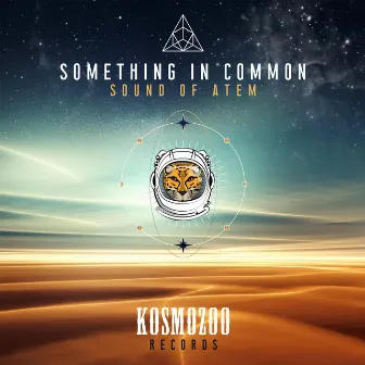 Something In Common by Sound of ATEM