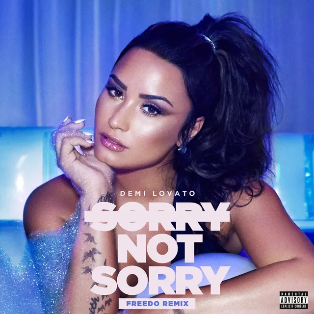 Sorry Not Sorry - Freedo Remix