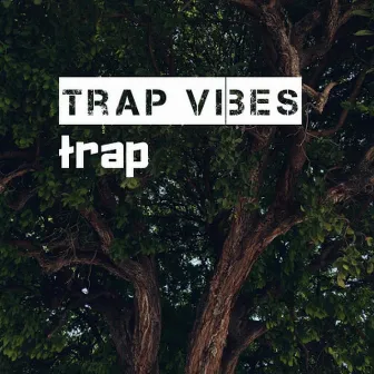 Trap Vibes by Kevin David