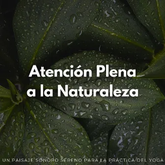 Atención Plena A La Naturaleza: Un Paisaje Sonoro Sereno Para La Práctica Del Yoga by El proyecto de música de canto y mantra de yoga