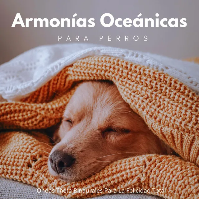 Armonías Oceánicas Para Perros: Ondas Theta Binaurales Para La Felicidad Total