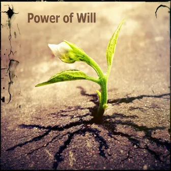 Power of Will by Alni