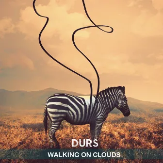 Walking on Clouds by Durs