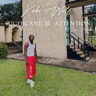 Sugarcane and Attention by Kobi Wolf